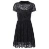 Vintage Lace Gothic Mesh Dress 5